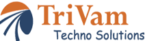 Web Site Designing, Web Site Promotion Programmes, web development, Web Page Designing