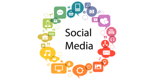 Trivam Techno Solutions, Web designing company, web development, web designing course, Web designing company in chennai