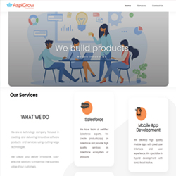 Trivam Techno Solutions, Web designing company, web development, web designing course, Web designing company in chennai